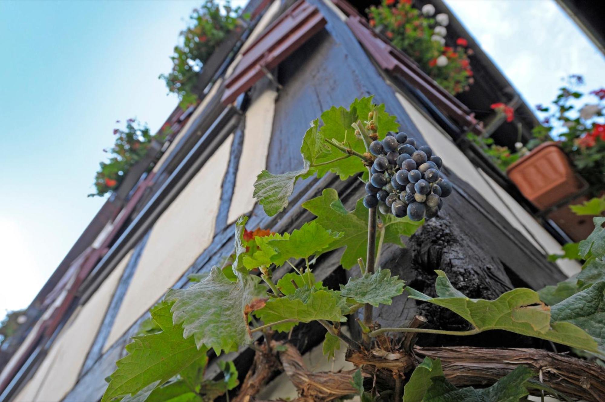 Strumpfweberhaus Schiltach Exterior foto